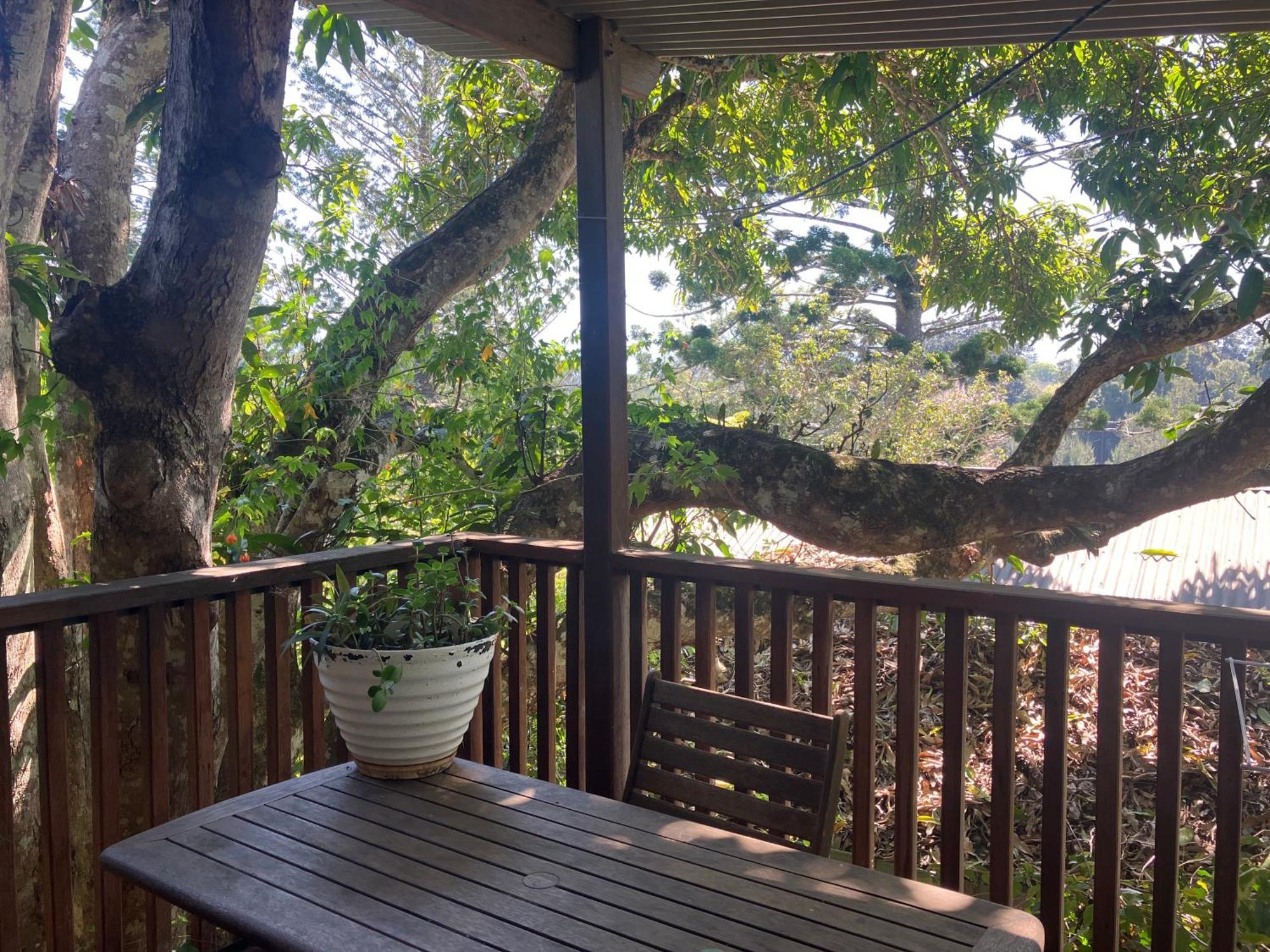 בלינגן Potters Cottage מראה חיצוני תמונה